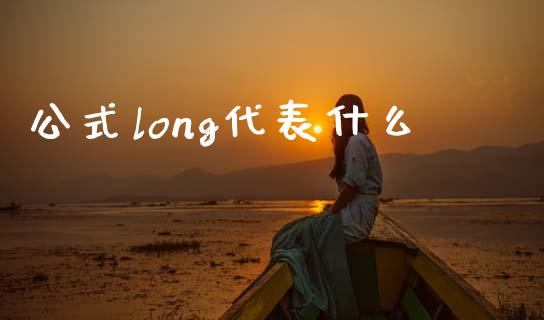 公式long代表什么_https://wap.lxcailiao.com_融资担保_第1张