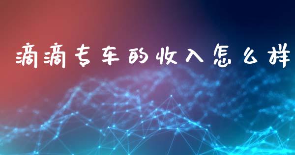 滴滴专车的收入怎么样_https://wap.lxcailiao.com_金融监管_第1张