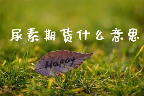 尿素期货什么意思_https://wap.lxcailiao.com_金融监管_第1张