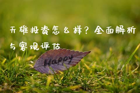 天雄投资怎么样？全面解析与客观评估_https://wap.lxcailiao.com_金融监管_第1张