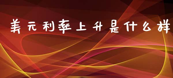 美元利率上升是什么样_https://wap.lxcailiao.com_财务管理_第1张