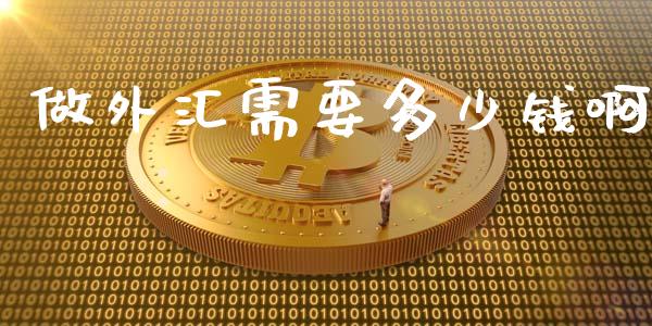 做外汇需要多少钱啊_https://wap.lxcailiao.com_财务管理_第1张