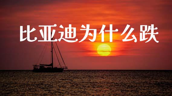 比亚迪为什么跌_https://wap.lxcailiao.com_财务管理_第1张