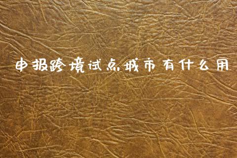 申报跨境试点城市有什么用_https://wap.lxcailiao.com_融资担保_第1张