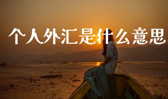个人外汇是什么意思_https://wap.lxcailiao.com_财务管理_第1张