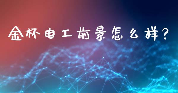 金杯电工前景怎么样？_https://wap.lxcailiao.com_财务管理_第1张