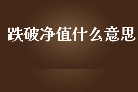 跌破净值什么意思_股权投资_第1张_金融监管_融资担保_财务管理_股权投资 跌破净值什么意思_https://wap.lxcailiao.com_股权投资_第1张