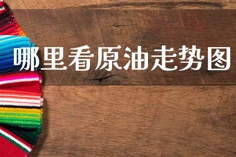 哪里看原油走势图_https://wap.lxcailiao.com_财务管理_第1张