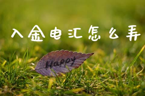 入金电汇怎么弄_https://wap.lxcailiao.com_融资担保_第1张