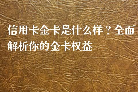 信用卡金卡是什么样？全面解析你的金卡权益_https://wap.lxcailiao.com_融资担保_第1张