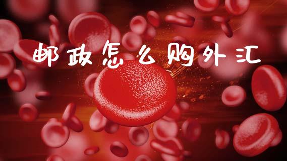 邮政怎么购外汇_https://wap.lxcailiao.com_融资担保_第1张