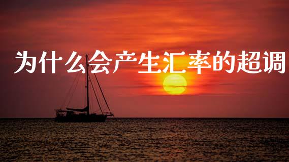 为什么会产生汇率的超调_https://wap.lxcailiao.com_融资担保_第1张