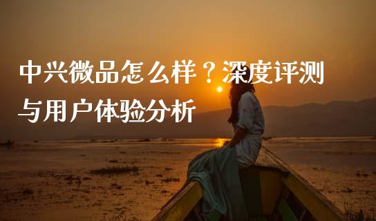 中兴微品怎么样？深度评测与用户体验分析_https://wap.lxcailiao.com_财务管理_第1张