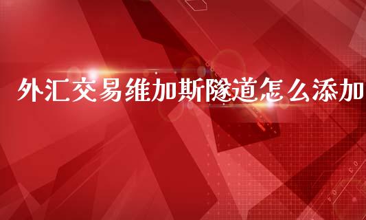外汇交易维加斯隧道怎么添加_https://wap.lxcailiao.com_融资担保_第1张