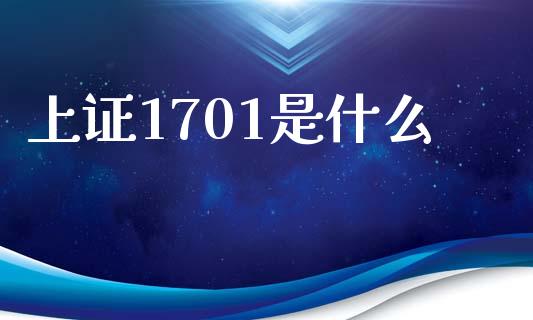 上证1701是什么_https://wap.lxcailiao.com_财务管理_第1张