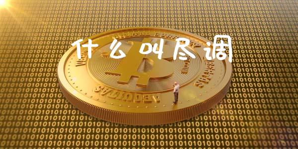 什么叫尽调_https://wap.lxcailiao.com_财务管理_第1张