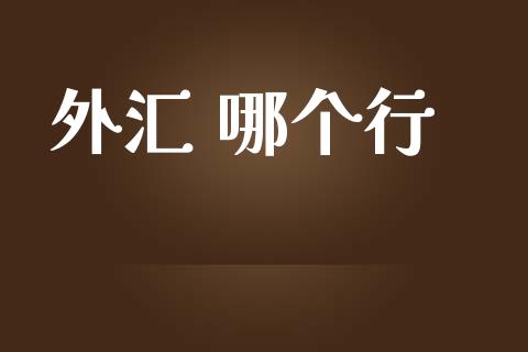外汇 哪个行_https://wap.lxcailiao.com_金融监管_第1张