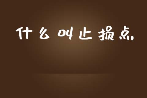 什么叫止损点_https://wap.lxcailiao.com_财务管理_第1张