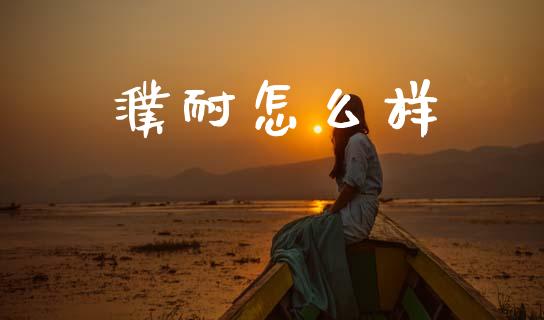 濮耐怎么样_https://wap.lxcailiao.com_金融监管_第1张