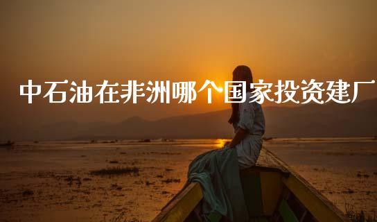 中石油在非洲哪个国家投资建厂_https://wap.lxcailiao.com_财务管理_第1张