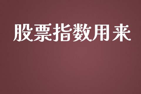 股票指数用来_https://wap.lxcailiao.com_金融监管_第1张