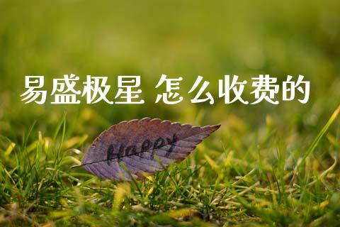 易盛极星 怎么收费的_https://wap.lxcailiao.com_财务管理_第1张