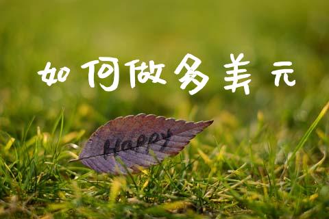 如何做多美元_https://wap.lxcailiao.com_财务管理_第1张