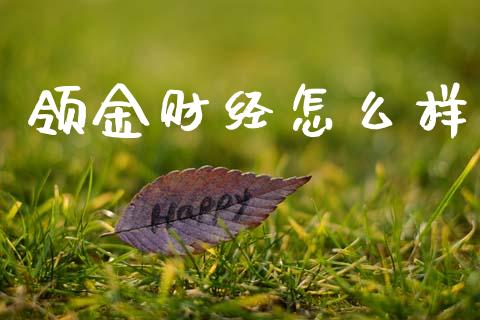 领金财经怎么样_https://wap.lxcailiao.com_金融监管_第1张