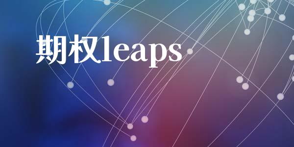 期权leaps_https://wap.lxcailiao.com_金融监管_第1张