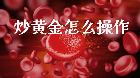 炒黄金怎么操作_https://wap.lxcailiao.com_财务管理_第1张