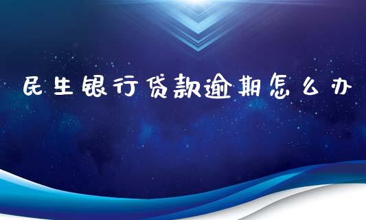 民生银行贷款逾期怎么办_https://wap.lxcailiao.com_金融监管_第1张
