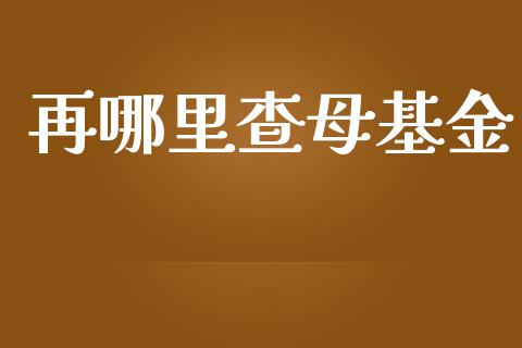 再哪里查母基金_https://wap.lxcailiao.com_金融监管_第1张