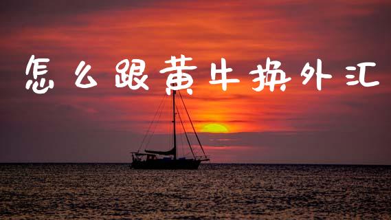 怎么跟黄牛换外汇_https://wap.lxcailiao.com_融资担保_第1张
