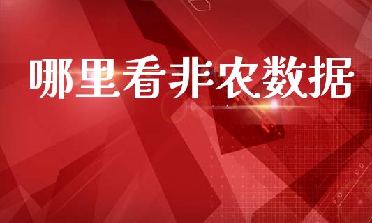 哪里看非农数据_https://wap.lxcailiao.com_融资担保_第1张