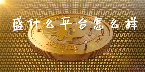 盛什么平台怎么样_https://wap.lxcailiao.com_财务管理_第1张