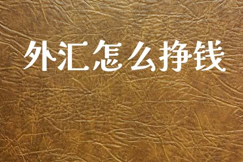 外汇怎么挣钱_https://wap.lxcailiao.com_融资担保_第1张