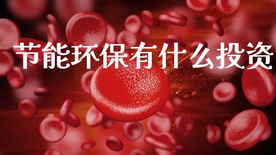 节能环保有什么投资_https://wap.lxcailiao.com_金融监管_第1张