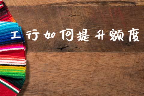 工行如何提升额度_https://wap.lxcailiao.com_融资担保_第1张