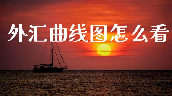 外汇曲线图怎么看_https://wap.lxcailiao.com_融资担保_第1张