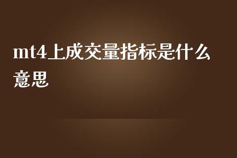 mt4上成交量指标是什么意思_https://wap.lxcailiao.com_融资担保_第1张