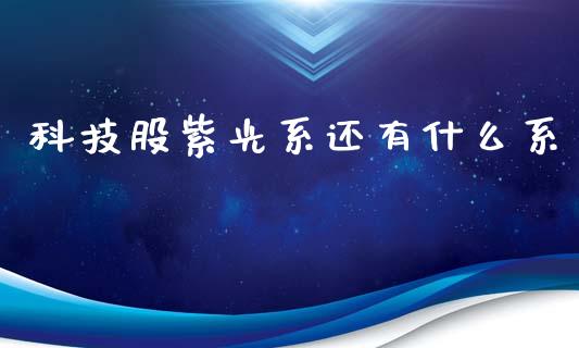 科技股紫光系还有什么系_https://wap.lxcailiao.com_融资担保_第1张