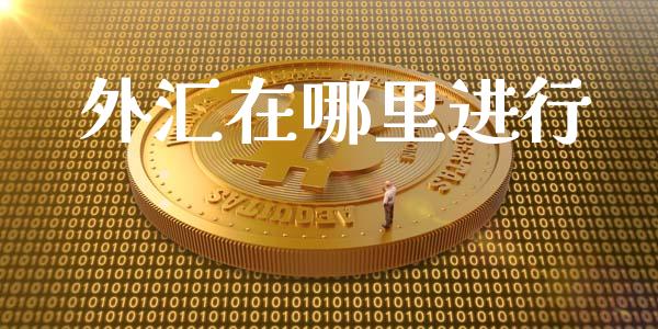 外汇在哪里进行_https://wap.lxcailiao.com_融资担保_第1张