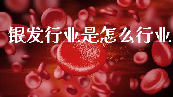 银发行业是怎么行业_https://wap.lxcailiao.com_股权投资_第1张