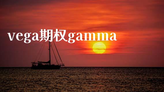 vega期权gamma_https://wap.lxcailiao.com_股权投资_第1张