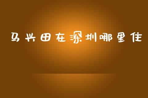马兴田在深圳哪里住_https://wap.lxcailiao.com_融资担保_第1张