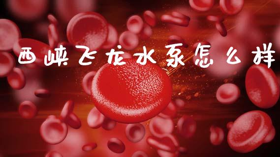 西峡飞龙水泵怎么样_https://wap.lxcailiao.com_金融监管_第1张