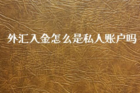 外汇入金怎么是私人账户吗_https://wap.lxcailiao.com_金融监管_第1张