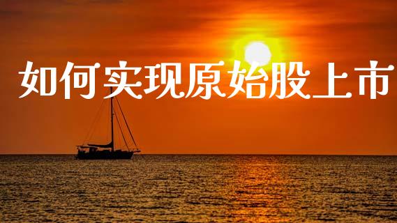 如何实现原始股上市_https://wap.lxcailiao.com_财务管理_第1张