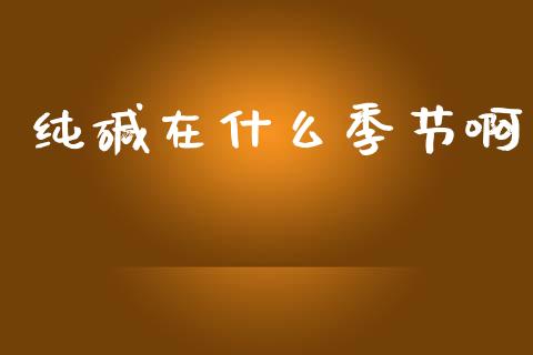 纯碱在什么季节啊_金融监管_第1张_金融监管_融资担保_财务管理_股权投资 纯碱在什么季节啊_https://wap.lxcailiao.com_金融监管_第1张