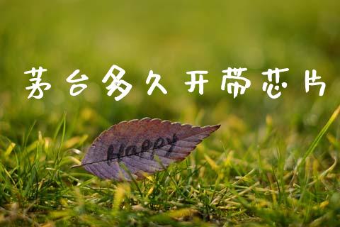 茅台多久开带芯片_https://wap.lxcailiao.com_财务管理_第1张